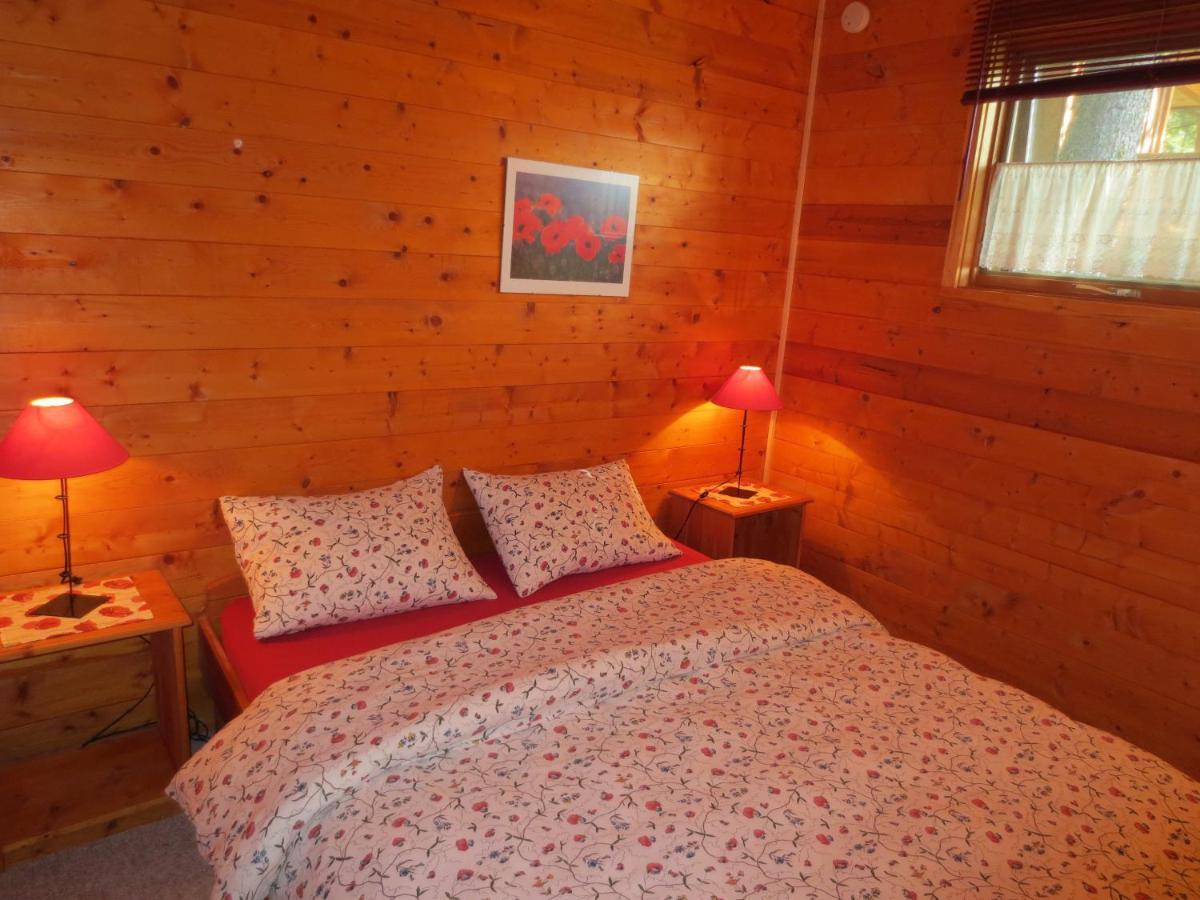 Blaeberry Mountain Lodge Golden Værelse billede